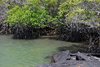 Galapagos_1547