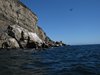 Galapagos_1625