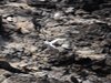 Galapagos_0293