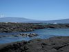 Galapagos_1545