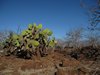 Galapagos_0696