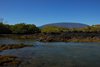 Galapagos_1428