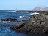 Galapagos_1239