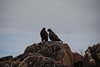Galapagos_0319