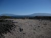 Galapagos_1403
