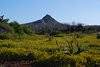Galapagos_0854