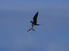 Galapagos_0221