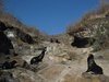 Galapagos_1696