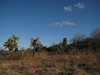Galapagos_0874
