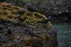 Galapagos_1033
