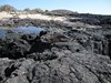 Galapagos_1215