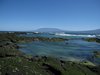 Galapagos_1458