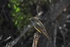 Galapagos_0527