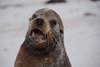 Galapagos_0347