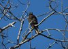 Galapagos_1389