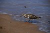 Galapagos_0512