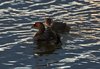 Island_0282ab