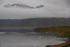Island_1580