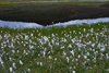 Island_0206