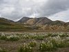 Island_1067a