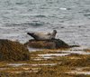 Island_0665