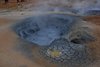 Island_0220