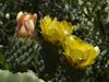 Mallorca_0113