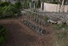 Mallorca_0277