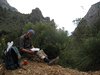 Mallorca_0298