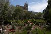 Mallorca_0199
