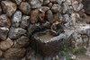 Mallorca_0303