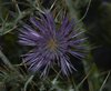 Mallorca_0134
