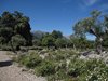 Mallorca_0385