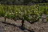 Mallorca_0101