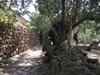 Mallorca_0243
