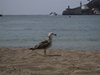 Mallorca_0270