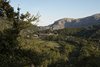 Mallorca_0381