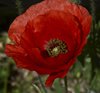 Mallorca_0116