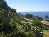 Mallorca_0123