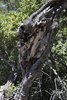 Mallorca_0107