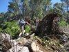 Mallorca_0125