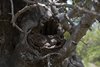 Mallorca_0249