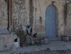 Mallorca_0436