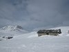 Mysoseter_0052