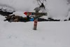 Mysoseter_0119