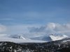 Mysoseter_0089