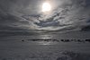 Mysoseter_0045