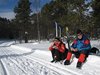 Mysoseter_0090