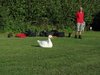 301_0639s