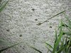 301_0607a